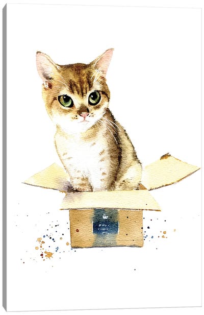 Cat In A Box I Canvas Art Print - Marina Ignatova