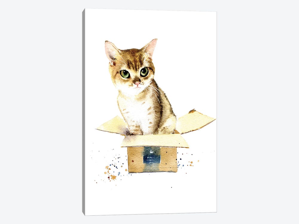 Cat In A Box I by Marina Ignatova 1-piece Canvas Art