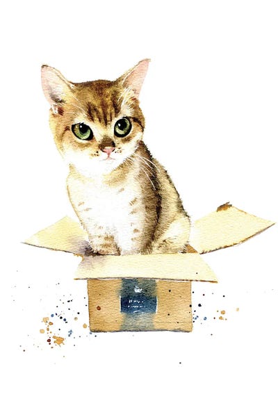 Marina Ignatova: Cat In A Box I by Marina Ignatova