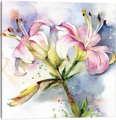 Pink Lilies Canvas Art Print - Lily Art