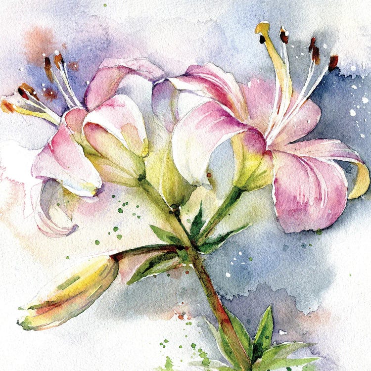 Pink Lilies