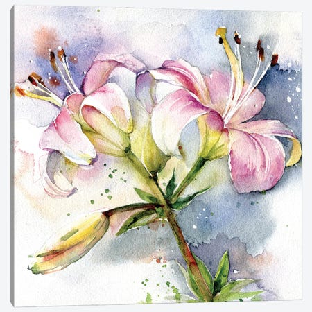 Pink Lilies Canvas Print #IGN143} by Marina Ignatova Art Print