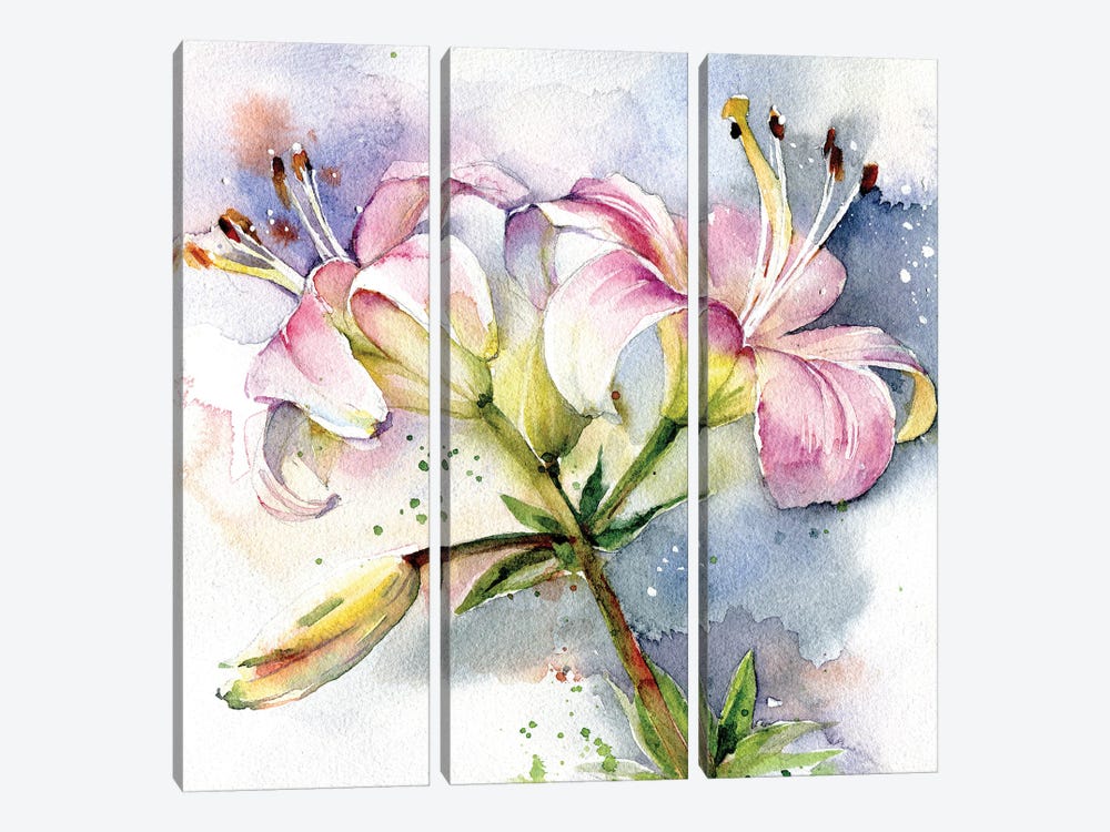 Pink Lilies by Marina Ignatova 3-piece Canvas Art Print