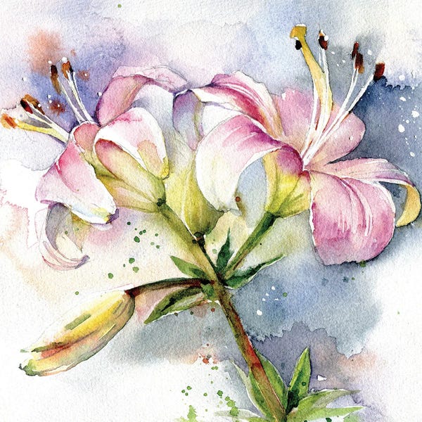 Marina Ignatova: Pink Lilies by Marina Ignatova