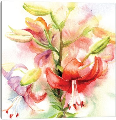 Red Lilies Canvas Art Print - Lily Art