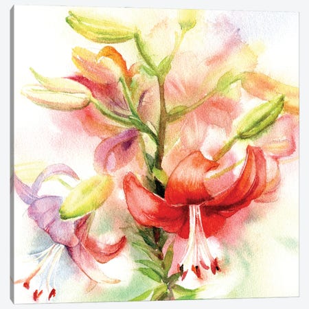 Red Lilies Canvas Print #IGN144} by Marina Ignatova Canvas Art