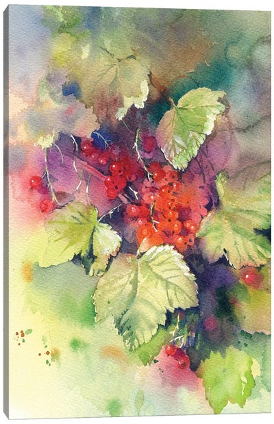 Red Ribes Canvas Art Print - Marina Ignatova