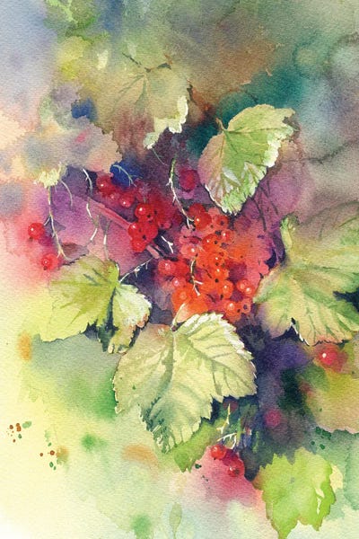 Marina Ignatova: Red Ribes by Marina Ignatova