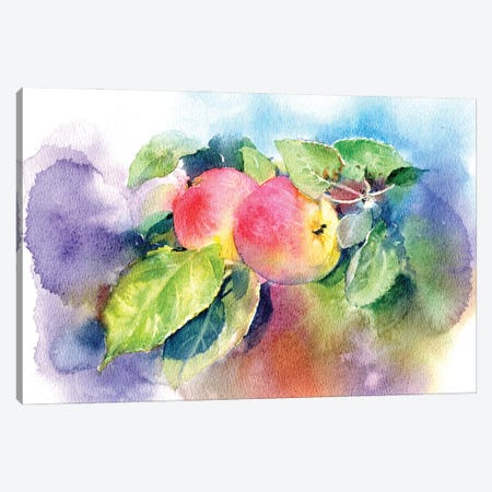 Apples On A Branch Canvas Print #IGN146} by Marina Ignatova Canvas Wall Art