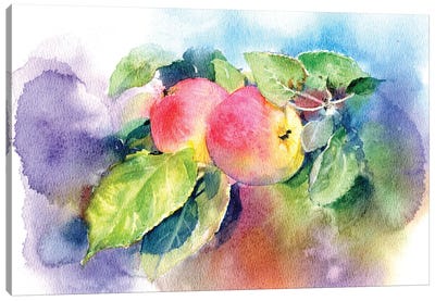 Apples On A Branch Canvas Art Print - Celery