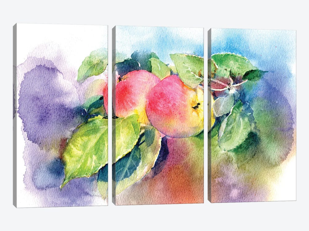 Apples On A Branch by Marina Ignatova 3-piece Canvas Wall Art