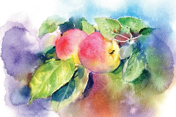 Apple Trees: Apples On A Branch by Marina Ignatova