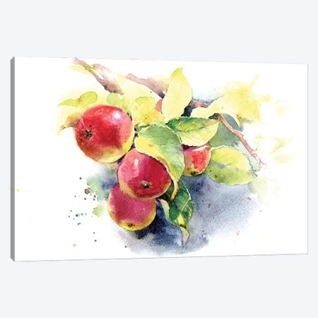 Red Apples Canvas Print #IGN147} by Marina Ignatova Canvas Artwork