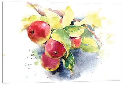 Red Apples Canvas Art Print - Apple Trees