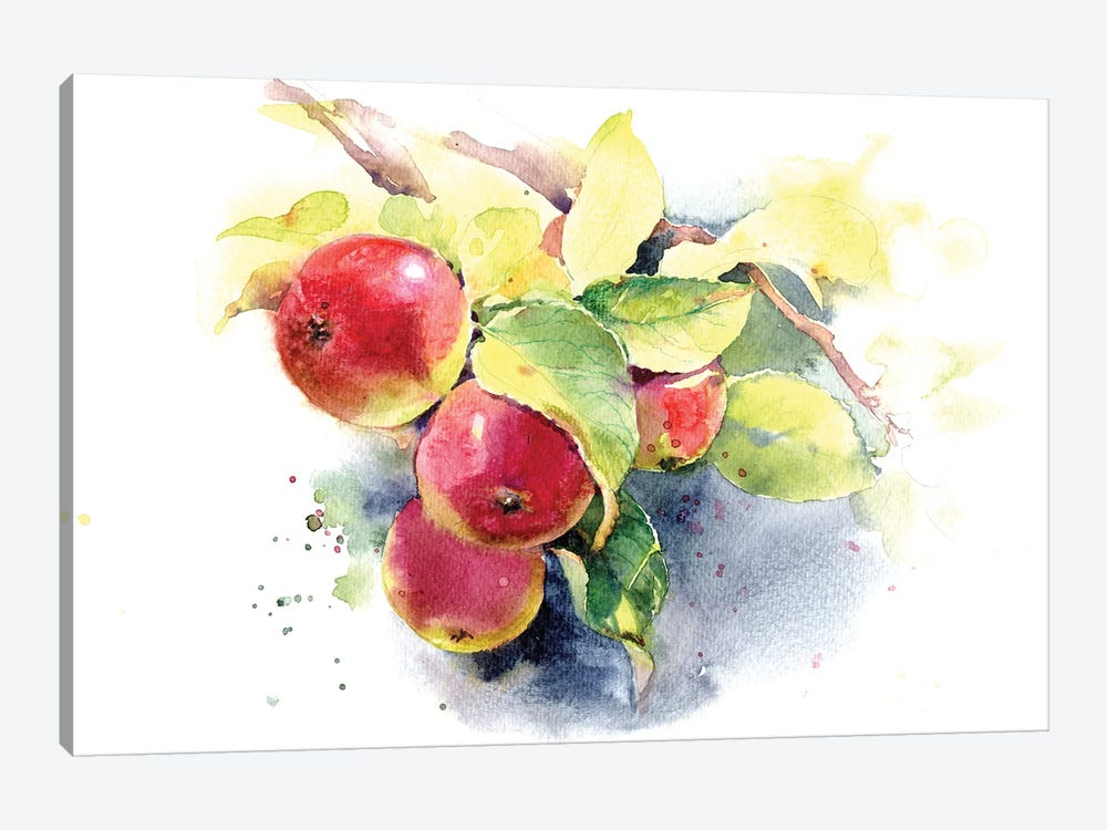 Red Apples by Marina Ignatova 1-piece Canvas Art Print