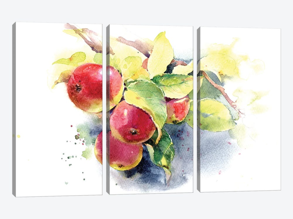Red Apples by Marina Ignatova 3-piece Canvas Art Print