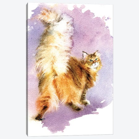 Beautiful Tail Canvas Print #IGN149} by Marina Ignatova Art Print