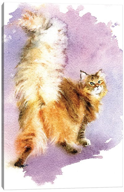 Beautiful Tail Canvas Art Print - Persian Cat Art