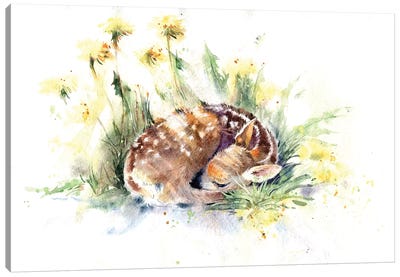 Fawn In Dandelions Canvas Art Print - Serene Watercolors