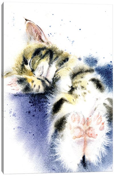 Sleeping Kitten Canvas Art Print - Sleeping & Napping Art