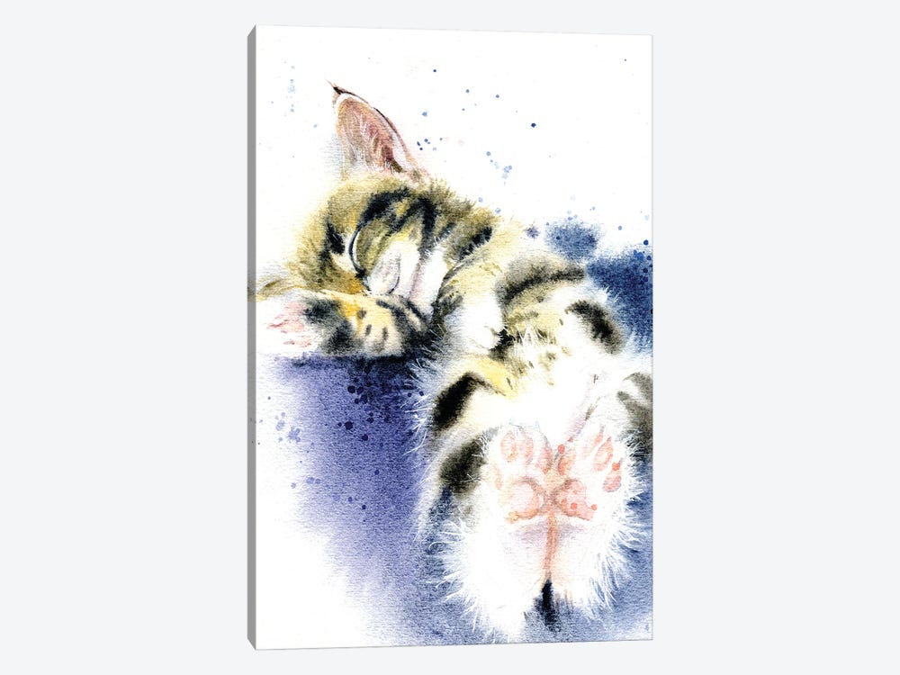 Sleeping Kitten by Marina Ignatova 1-piece Art Print