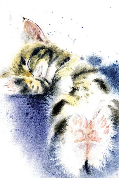 Kittens: Sleeping Kitten by Marina Ignatova