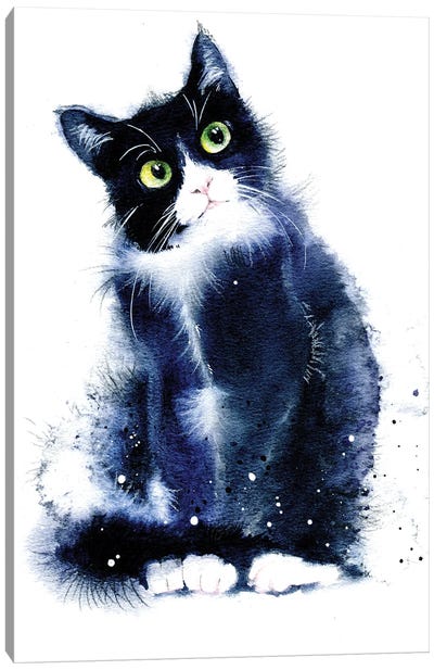 Black And White Cat Canvas Art Print - Tuxedo Cat Art