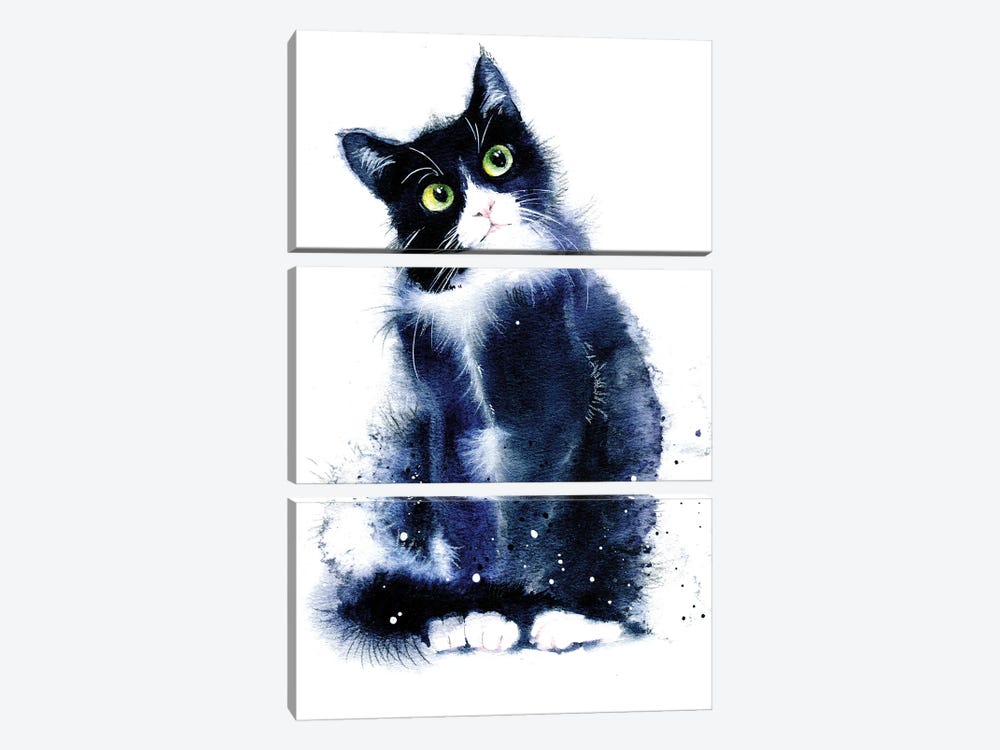 Black And White Cat by Marina Ignatova 3-piece Canvas Artwork