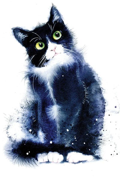 Marina Ignatova: Black And White Cat by Marina Ignatova