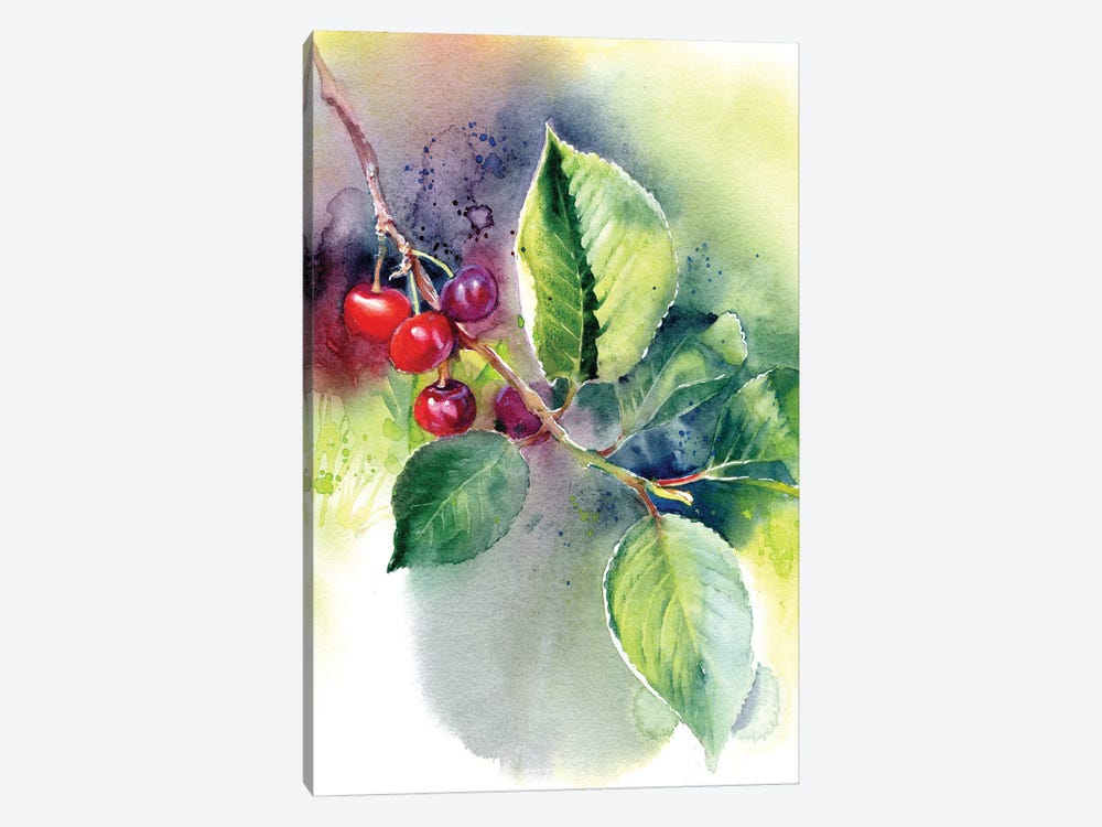 Cherry by Marina Ignatova 1-piece Canvas Art