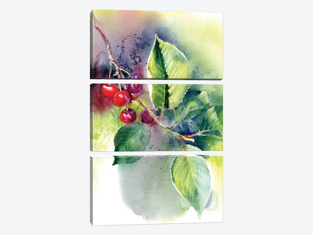 Cherry by Marina Ignatova 3-piece Canvas Artwork