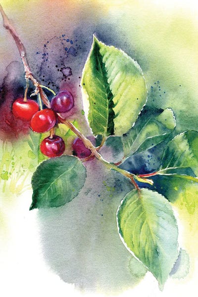 Cherry Trees: Cherry by Marina Ignatova