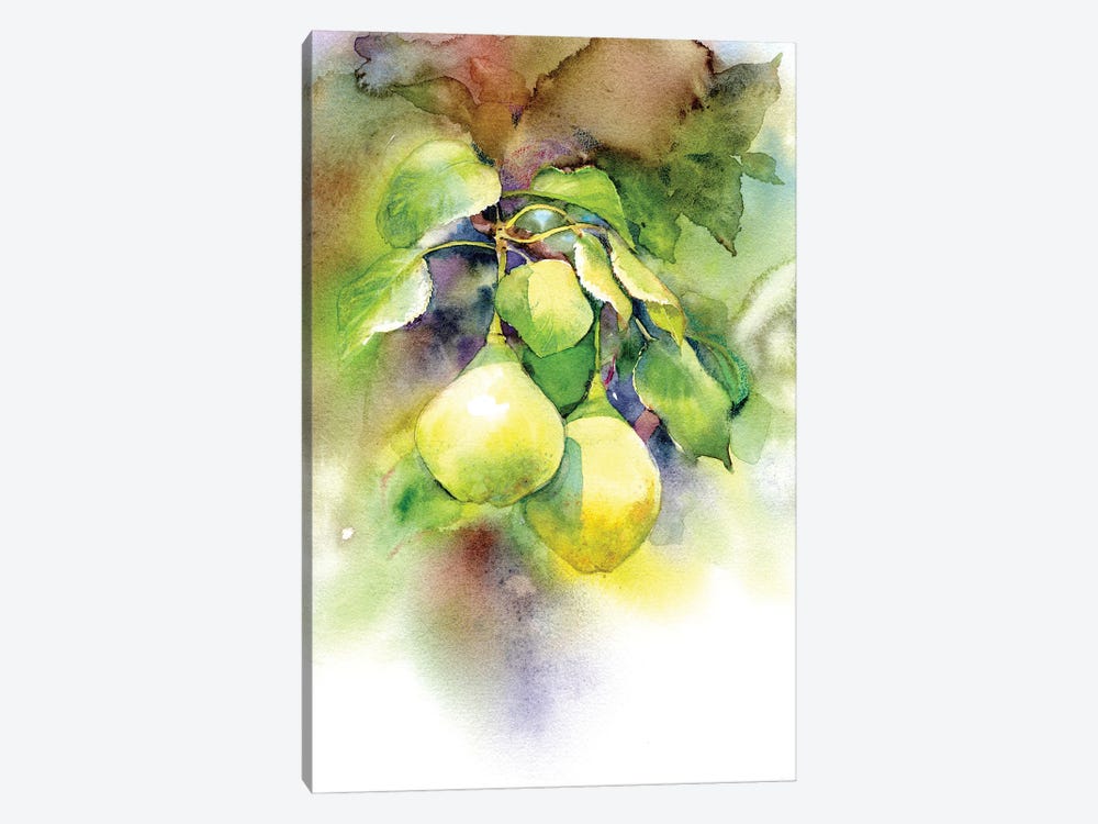 Pears by Marina Ignatova 1-piece Canvas Art Print