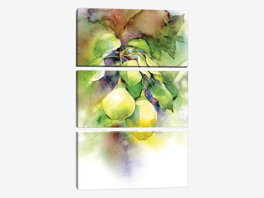 Pears by Marina Ignatova 3-piece Canvas Print