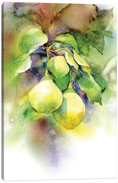 Pears Canvas Art Print - Marina Ignatova