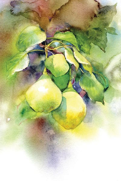 Marina Ignatova: Pears by Marina Ignatova
