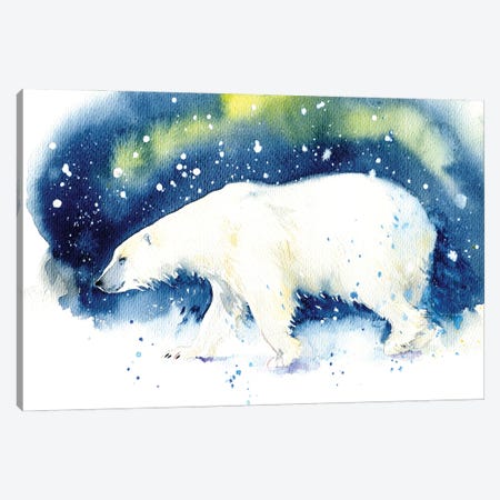 Bear In The North Canvas Print #IGN158} by Marina Ignatova Canvas Artwork