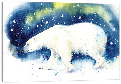 Bear In The North Canvas Art Print - Marina Ignatova