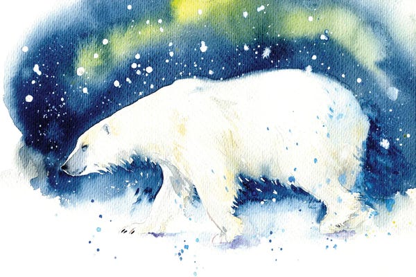 Polar Bears: Bear In The North by Marina Ignatova