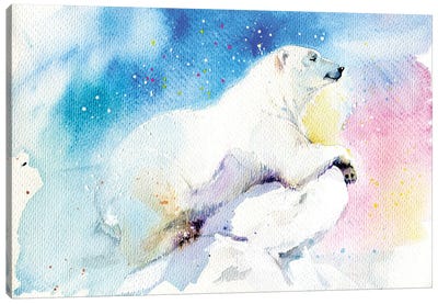 Dreamer Canvas Art Print - Polar Bear Art