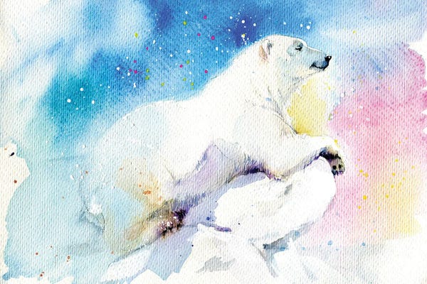 Polar Bears: Dreamer by Marina Ignatova