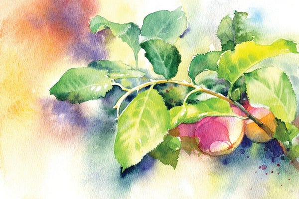 Marina Ignatova: Plums On A Branch by Marina Ignatova