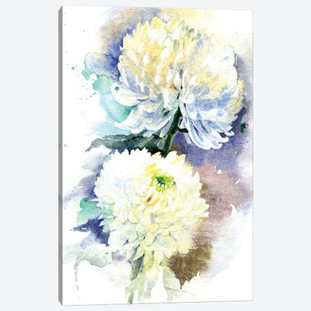 2 Chrysanthemums Canvas Print #IGN168} by Marina Ignatova Canvas Art Print