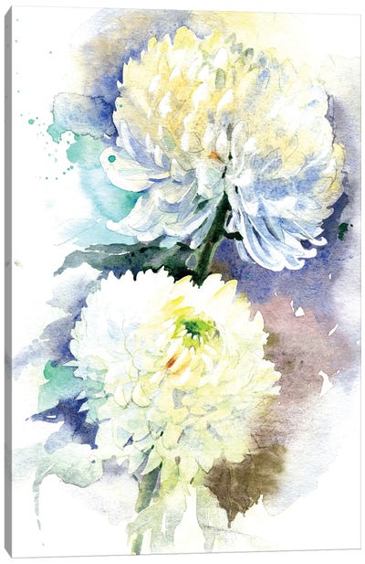 2 Chrysanthemums Canvas Art Print - Chrysanthemum Art