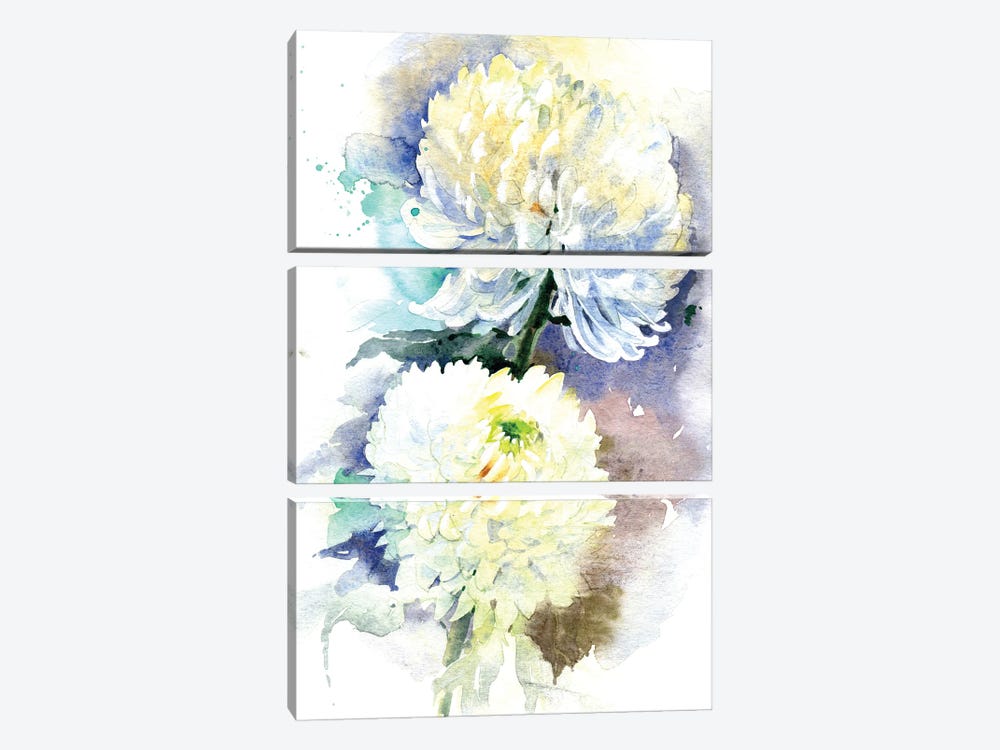 2 Chrysanthemums by Marina Ignatova 3-piece Canvas Wall Art