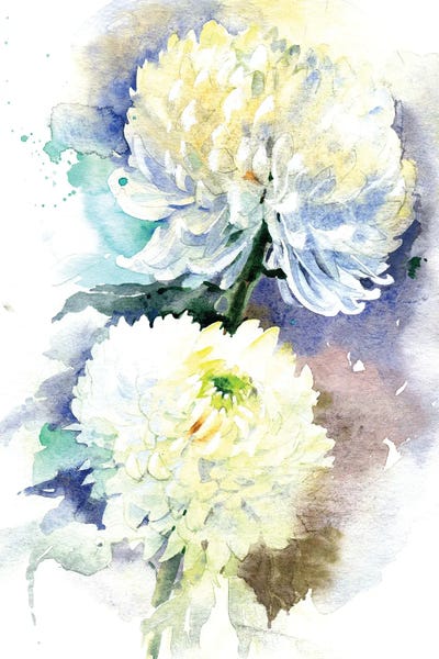 Chrysanthemums: 2 Chrysanthemums by Marina Ignatova