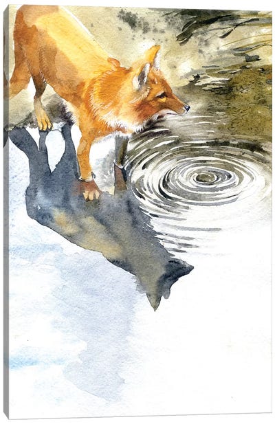 Fox By The River Canvas Art Print - Marina Ignatova