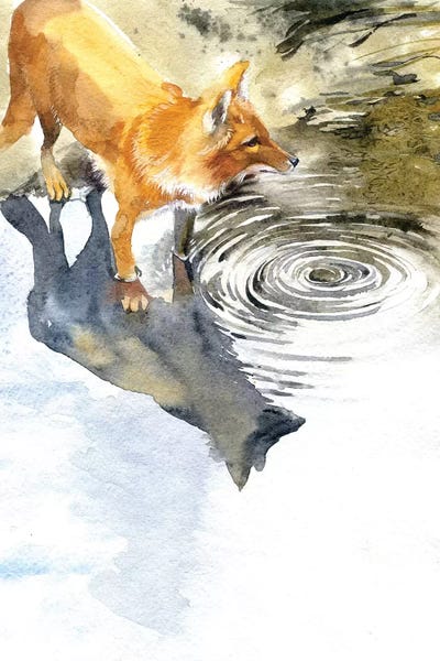 Marina Ignatova: Fox By The River by Marina Ignatova