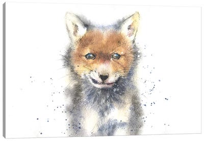 Fox Cub Canvas Art Print - Fox Art