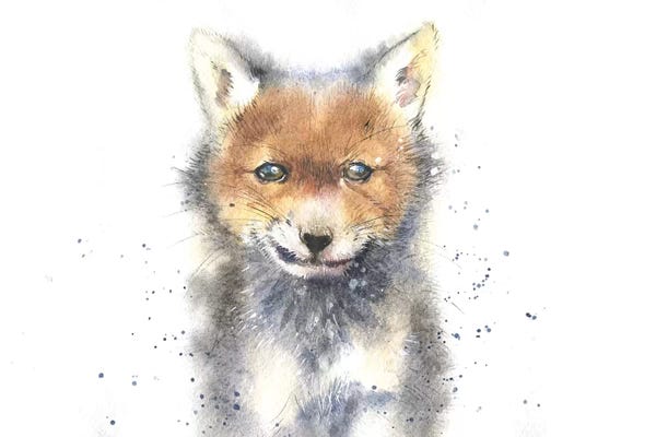 Marina Ignatova: Fox Cub by Marina Ignatova
